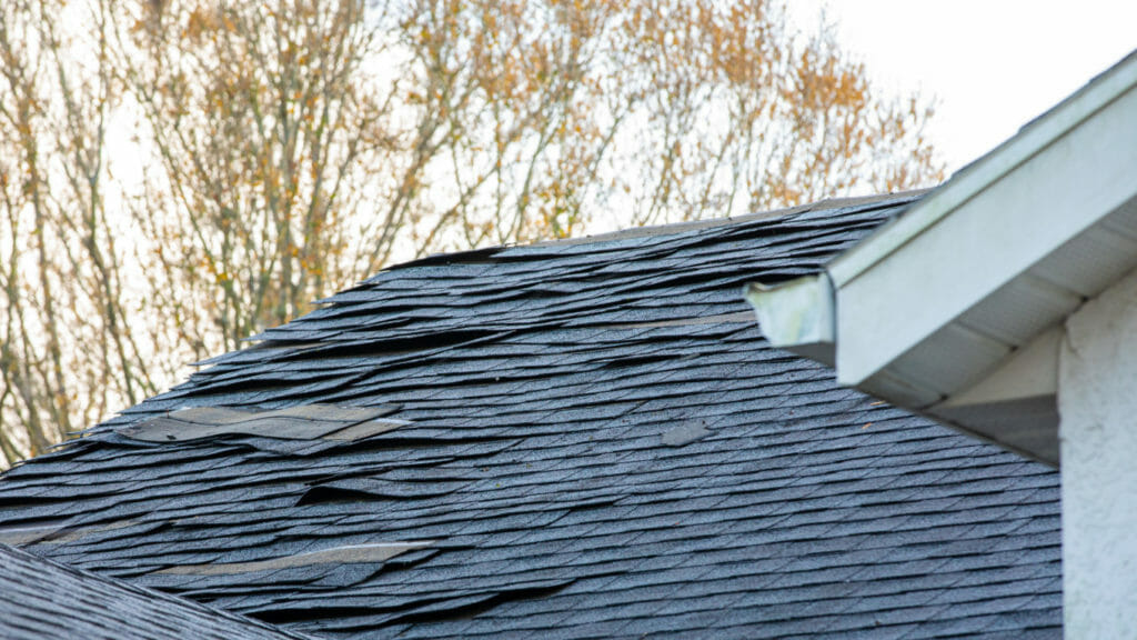 damaged shingles from severe weather