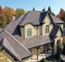 Specialty-Roofs